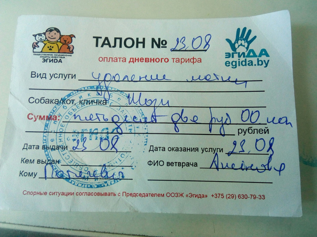 талон на жози