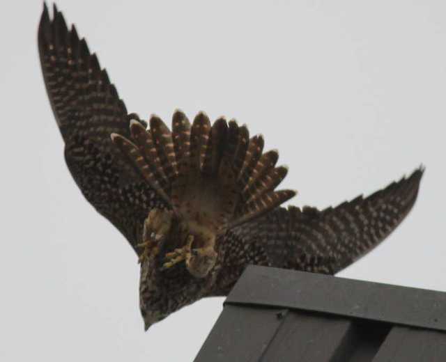 September202013Spencer