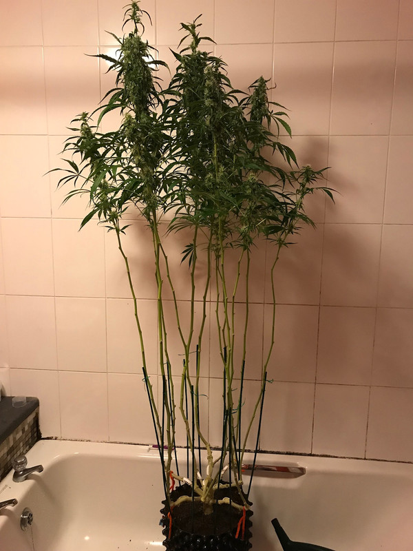 05370A85-99EA-4CA2-9BDC-80F3A9123DD5