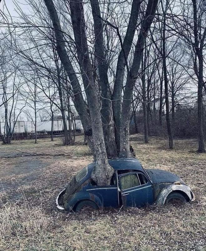 E04DF9C8-9F3D-42BE-B6F0-B7037C7EE1BE