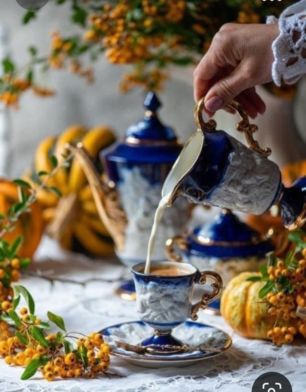 Screenshot_20230928_230615_Pinterest