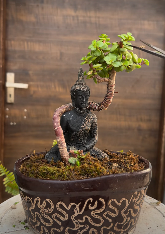 [Image: 2026-04-12-195231.png]