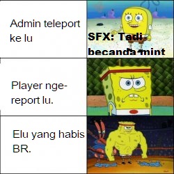 2tl7c5.jpg
