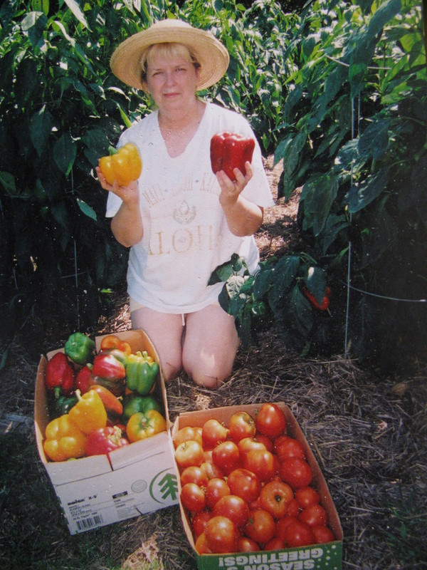 IMG_2913_zpsrat2d6yz