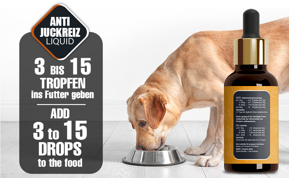 strayz hundefutter Bio Nassfutter fr Hunde mit Lachs | 400g