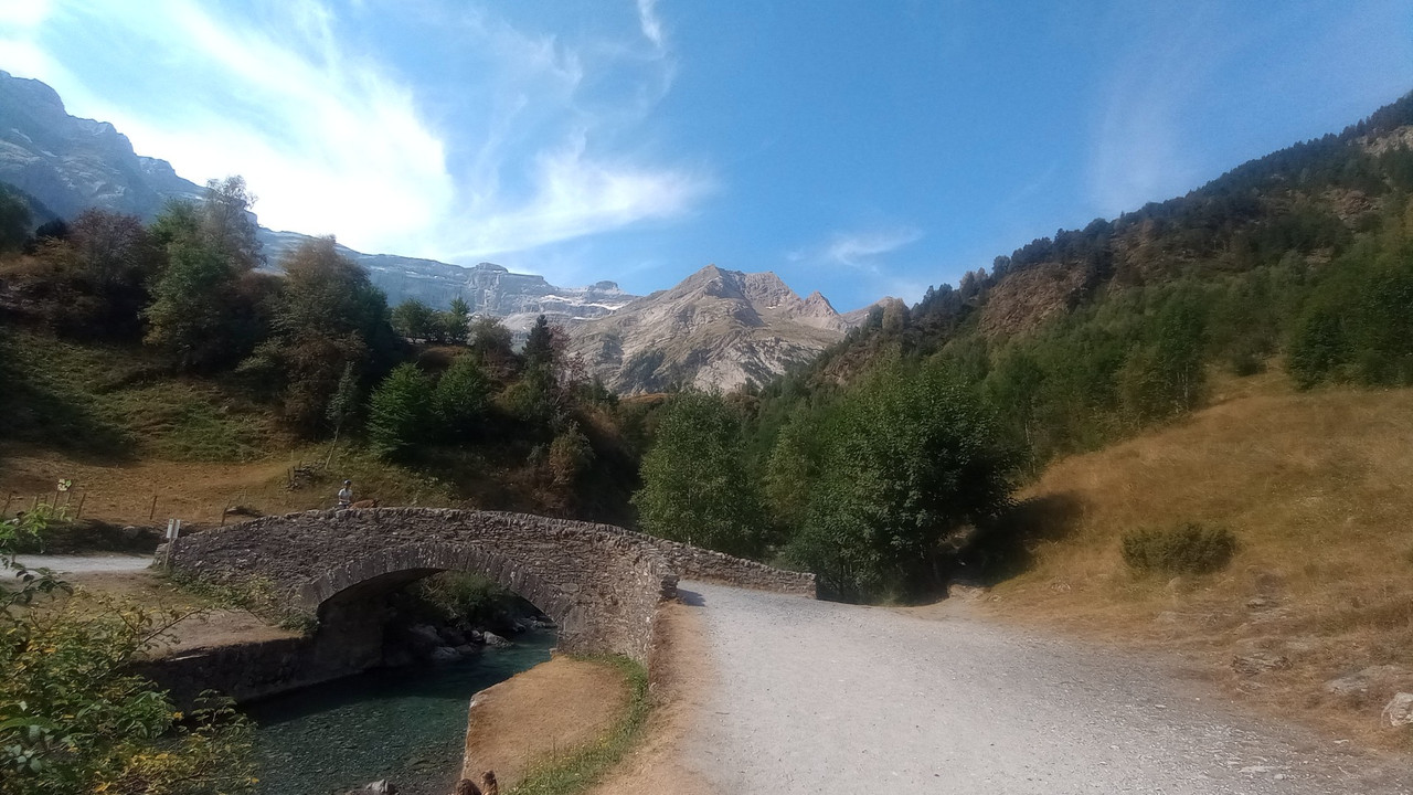 IMG20250814140337 (Large)