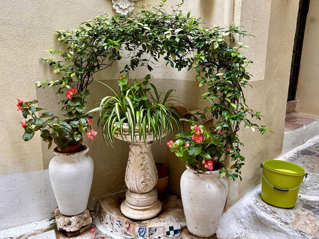 Жаркий сентябрь на побережье Тирренского моря. Жаркий сентябрь на побережье Тирренского моря.