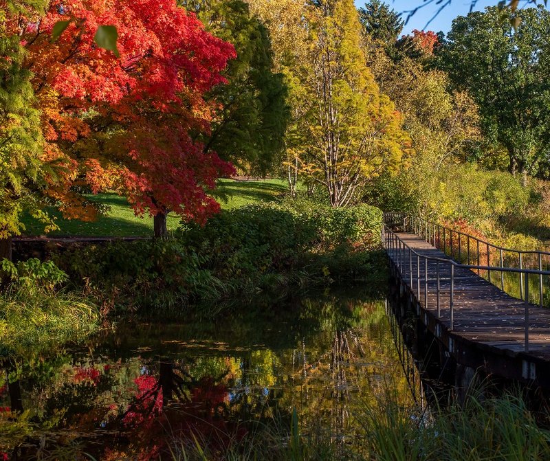 312159576-497221425783589-2833625357600936838-n