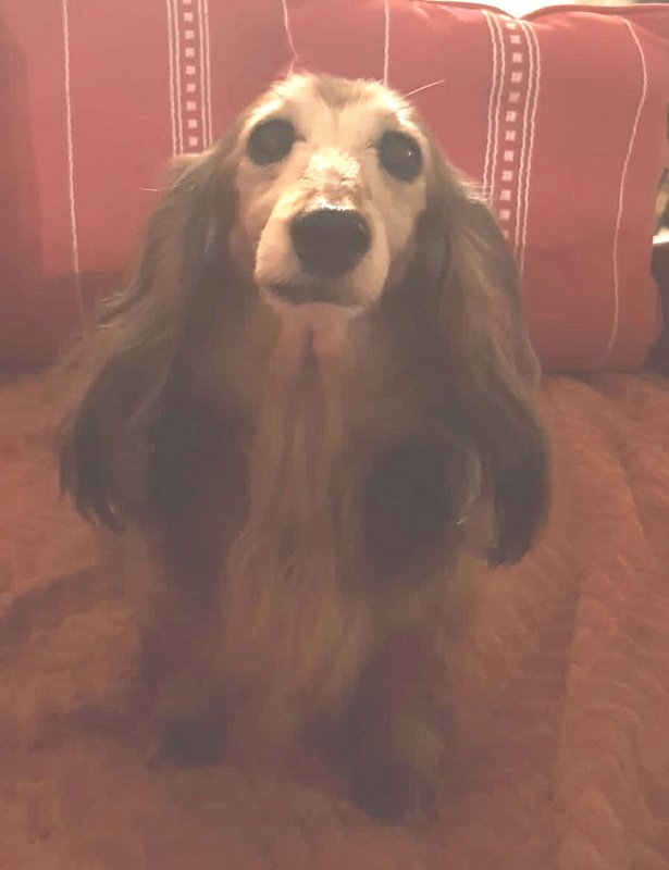 [Image: C7-A3-A3-F1-BD43-4-D73-987-B-1-B068-B731-FAC.jpg]