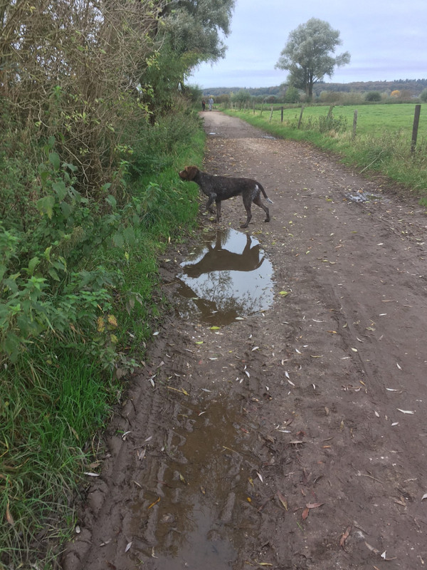 2024-20-10 voorstaan 3 IMG_4311 (002)