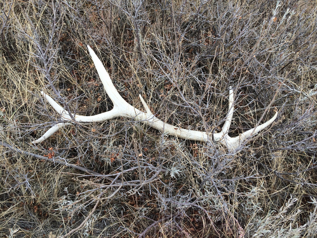 0B9D2D35-43F5-4AC9-8897-EC477EA2E4DA