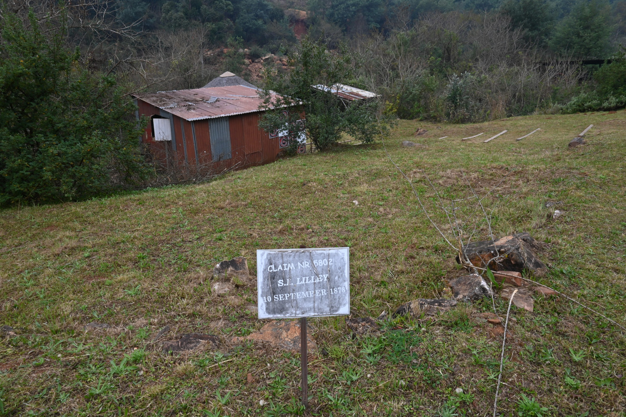 DSC 0829