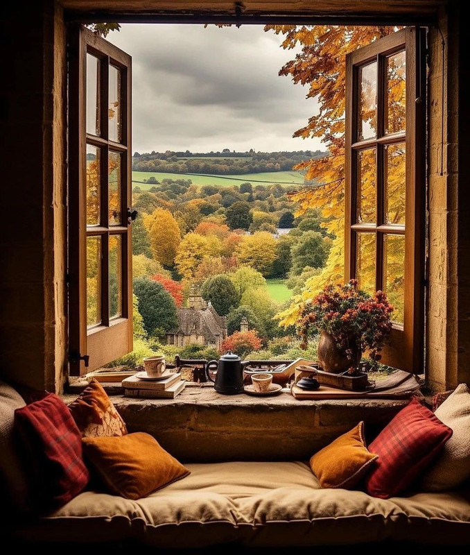 Screenshot_20231112_201235_Instagram