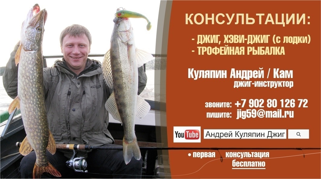 Куляпин Андрей_Консультации