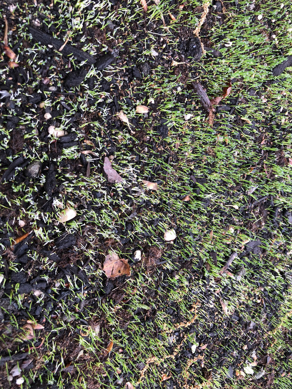 D6E2D9F7-58AE-4320-A442-FE931721A543