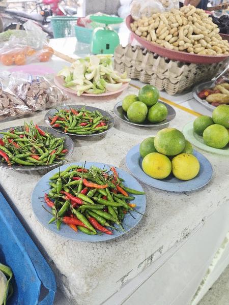 Koh Samui, feb 2026