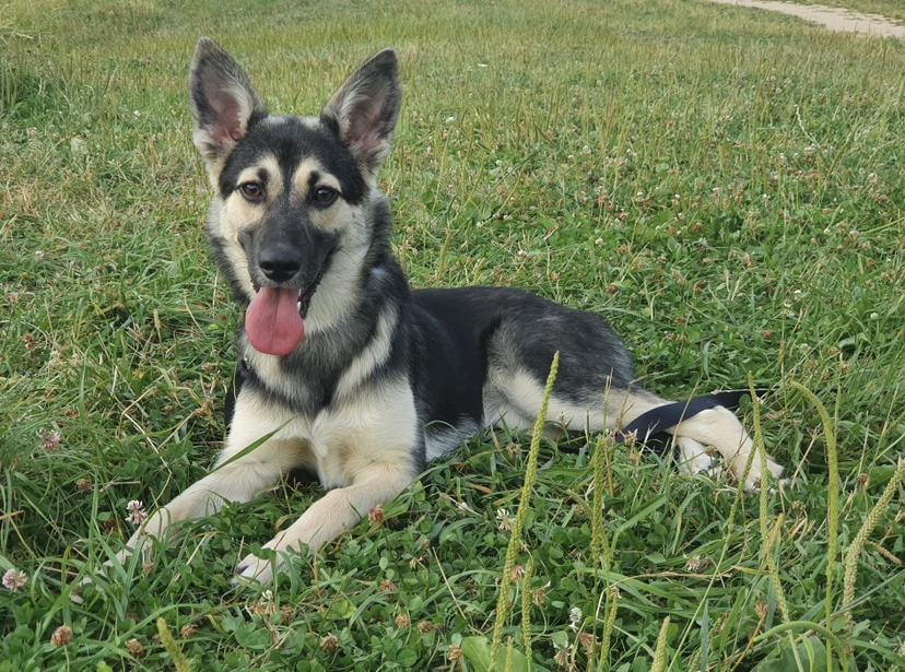 9AB37A3B-6279-4F4E-BA87-7C511FF778FB