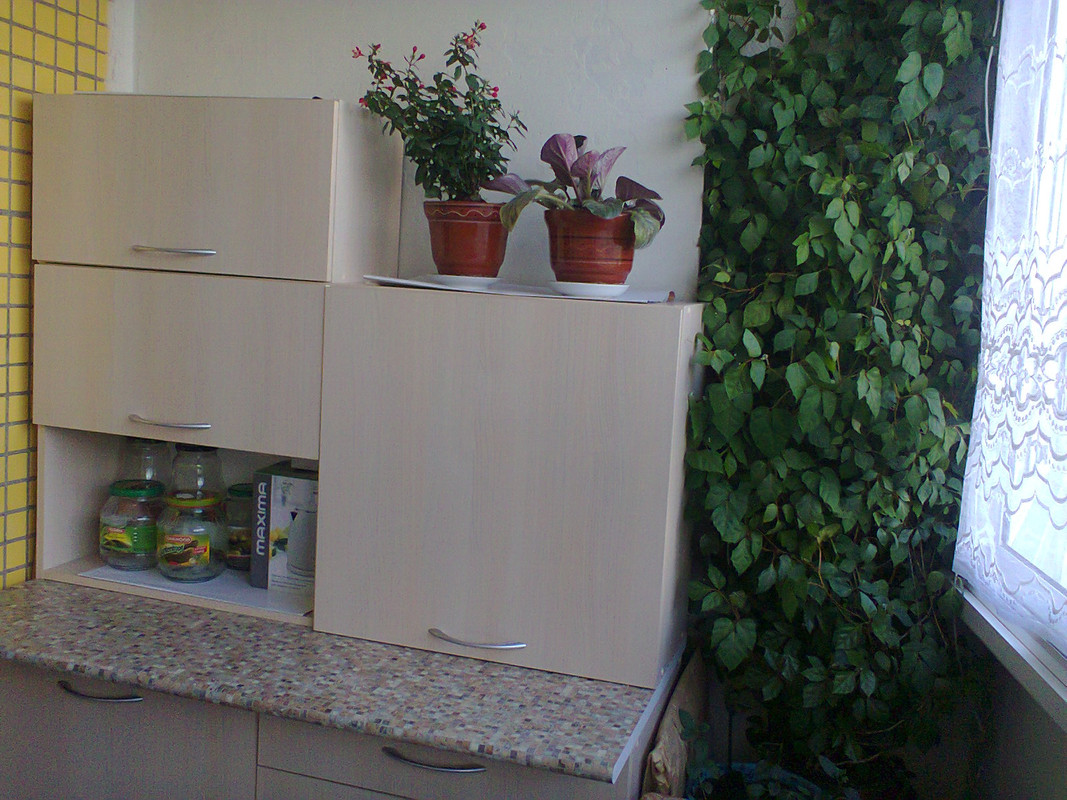 Стенка слева1