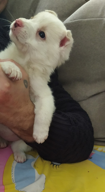 500EF4F6-CB00-4E99-9A0A-3C7E9C93BC7B