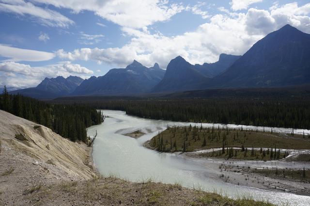 Vancouver y Rocosas Low Cost: Dos semanas por lo mejor de Canadá - Blogs de Canada - Día 5: Alredeores de Jasper y parte norte de la Icefields Parkway (4)