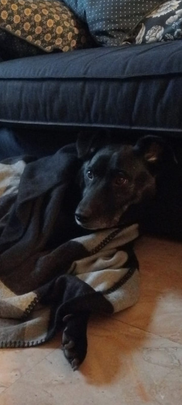 Screenshot_2022-11-29-15-34-48-43_6012fa4d4ddec268fc5c7112cbb265e7