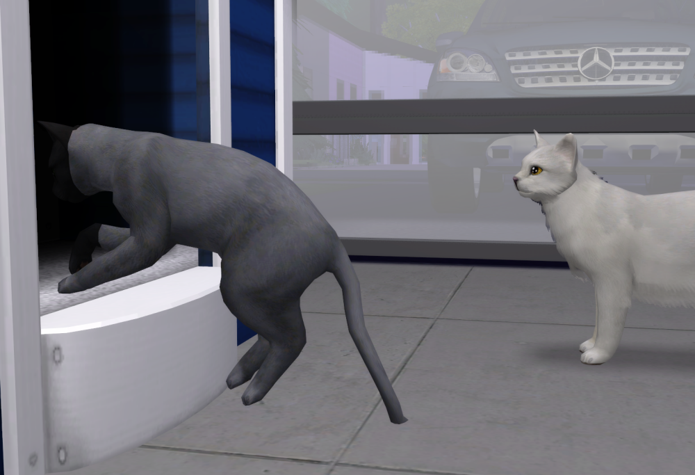 Sims2-EP9-RPC-2021-11-04-21-15-12-43