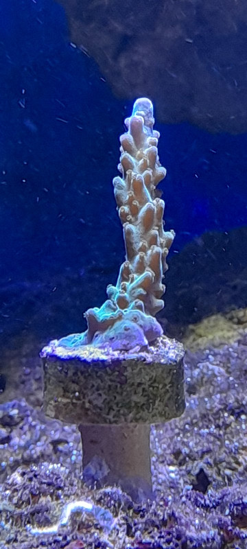 изображение_viber_2021-01-24_12-54-57