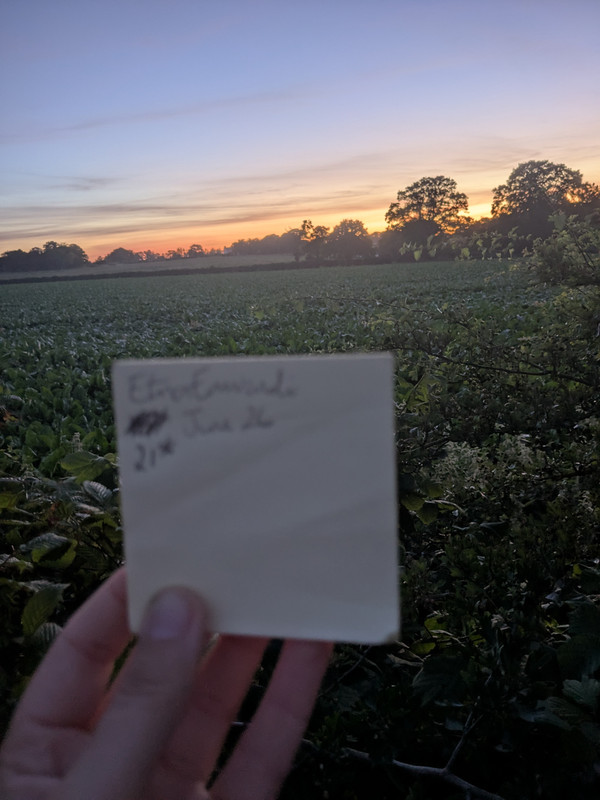 Sunrise 1