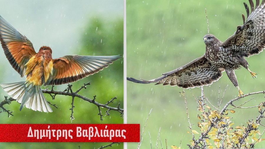 κοζάνη, ειδήσεις, νέα, Πτολεμαΐδα