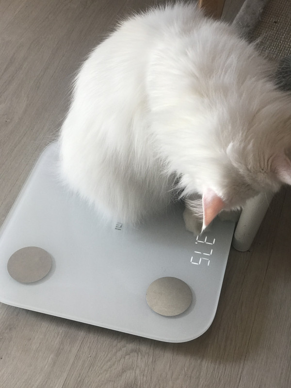 A5B32D8A-E7FC-4113-87AC-EAB6040CC6B1