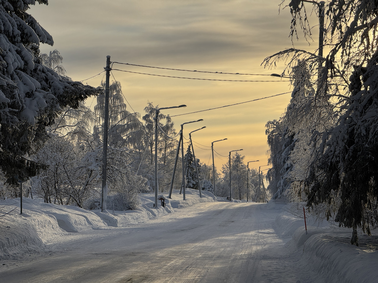 [Immagine: IMG_7572.jpg]