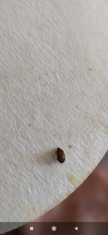 Screenshot_2020-02-28-15-02-03-464_com.miui.gallery