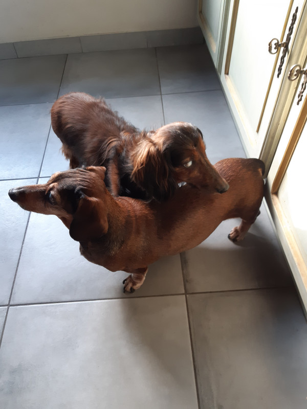 [Image: 20220113-111540.jpg]