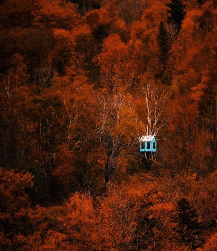 Screenshot_20231206_215528_Instagram