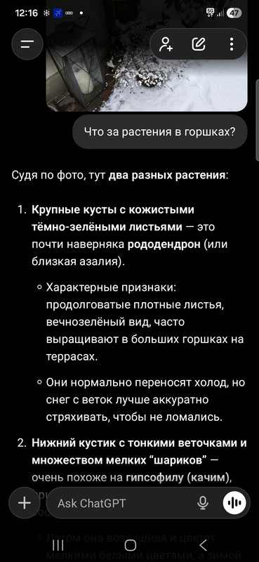 Screenshot 20260126 121650 Chat GPT