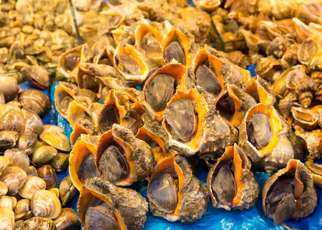 seafood-in-food-market-av5azpu.webp