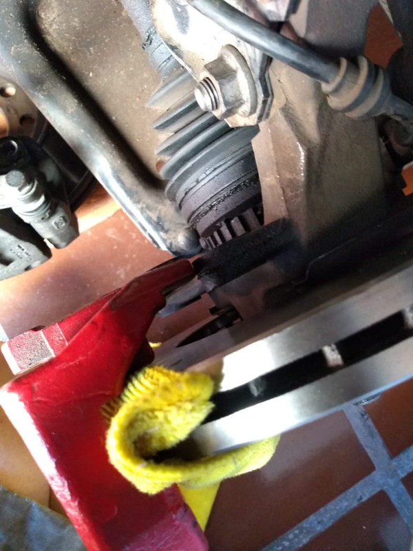 WhatsApp Image 2019-03-25 at 5.24.41 PM (3)