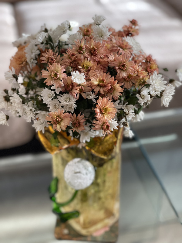 B8B93B54-EBA8-40A9-A161-0F08529E9C94