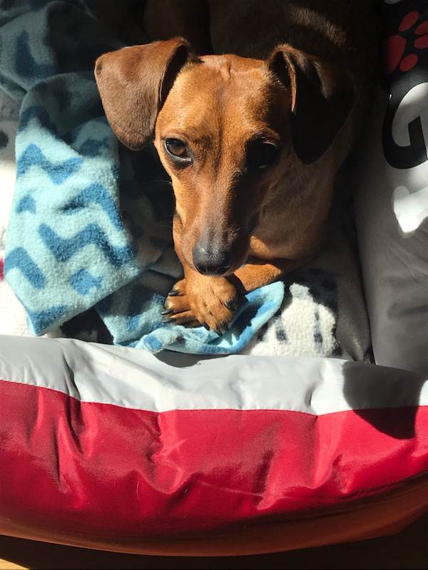 [Image: IMG-9395-1.jpg]