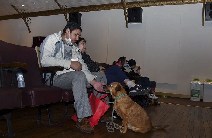 fotoperrito5