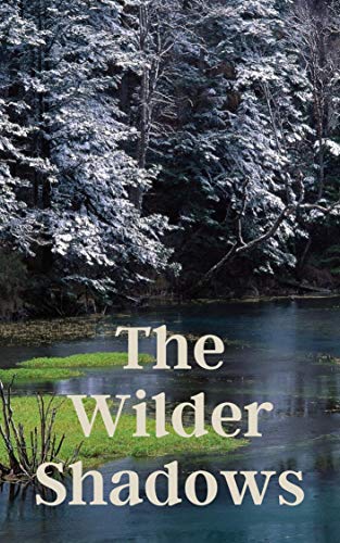 Patrick Kunze – The Wilder Shadows (2020)
