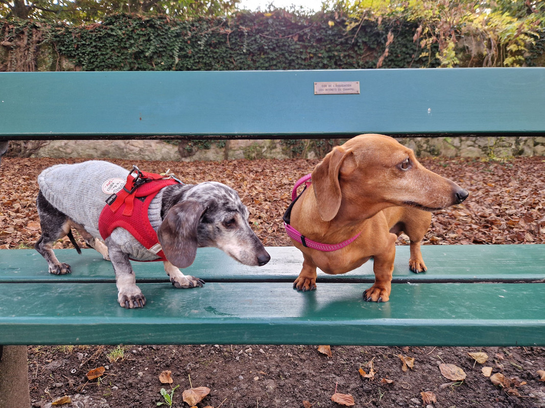 [Image: 20241106-131710.jpg]