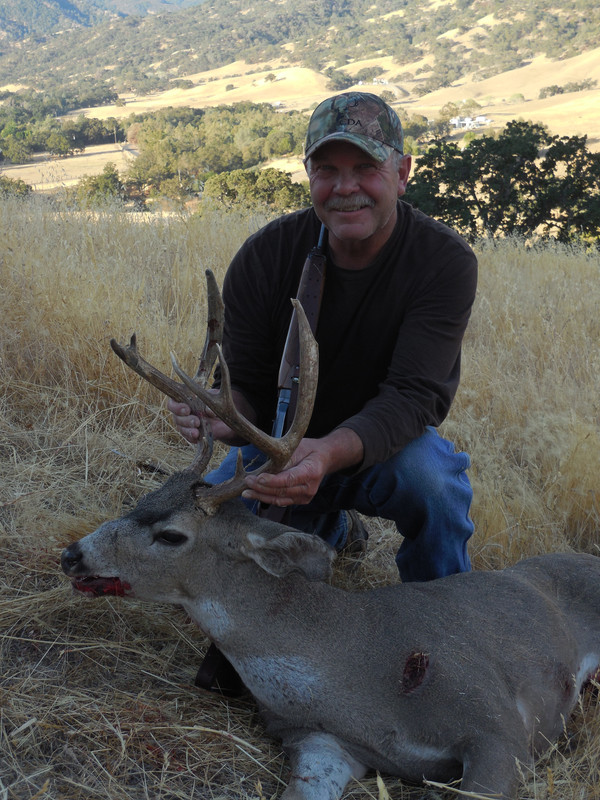 berryessa buck