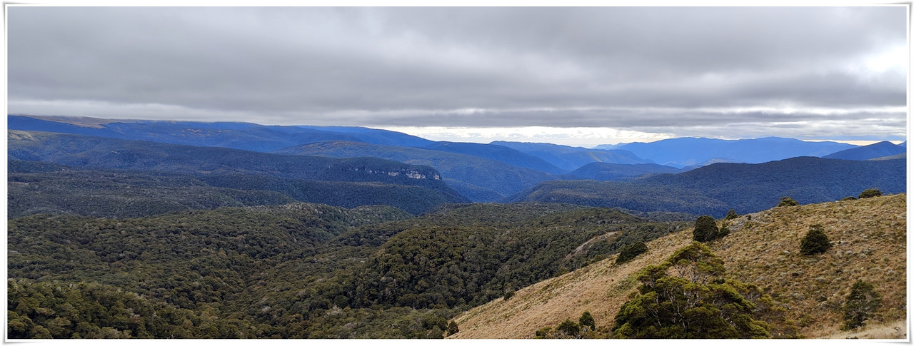 Kahurangi NP: Tableland/Mt Arthur Circuit (abril 2023) - Escapadas y rutas por la Nueva Zelanda menos conocida (20)