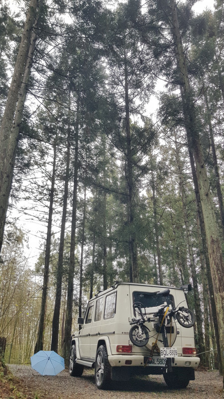 【露營瘋】【車泊車宿】【森林系露營區】-新竹五峰-輪園秘境超 【露營瘋】【車泊車宿】【森林系露營區】-新竹五峰-輪園秘境超