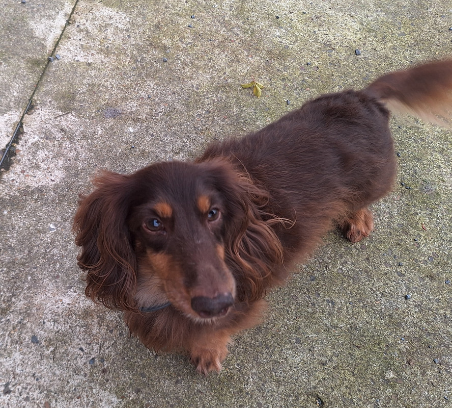 [Image: 20241220-145833.jpg]