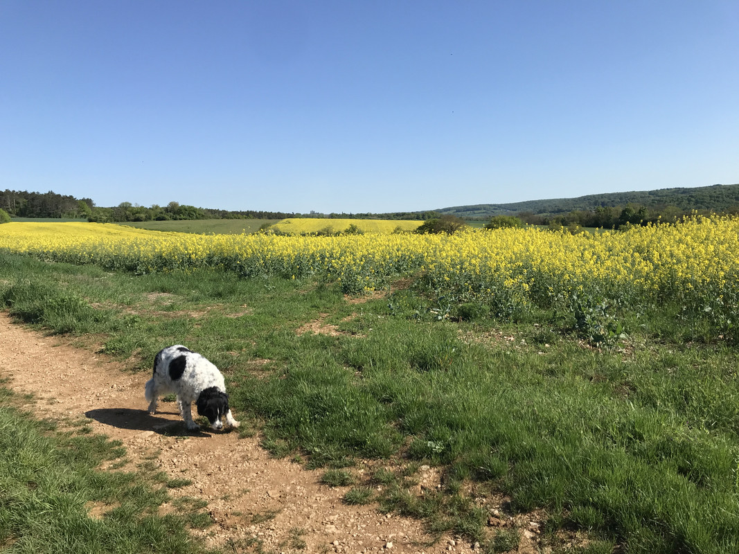 06F3BE52-C16A-4CD7-BC43-8C21FE2E8F51