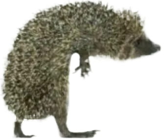 obraz-2026-05-13-185558941-fotor-bg-remover-20260513185755.png