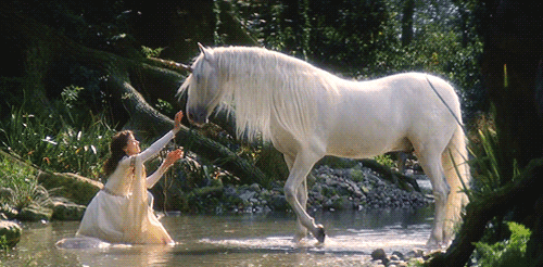 https://i.postimg.cc/fyv20wrM/unicorn.gif