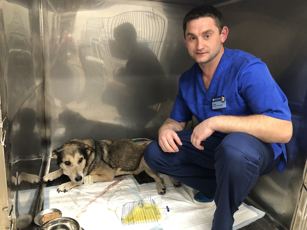 D9E997A9-C45A-41C7-A96A-BC17627DCF44